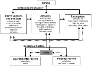 stroke gait rehabilitation